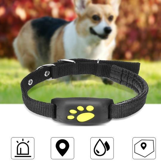 GPS Pet Tracker – Real-Time Location Finder for Dogs & Cats trendilomart