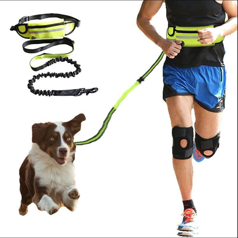 Hands-Free Dog Leash with Phone Pocket & Water Bottle Holder – Shock Absorbing Bungee for Large Dogs trendilomart