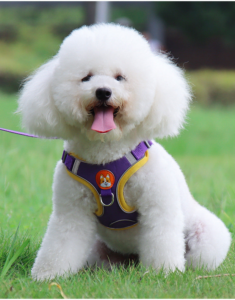 Reflective Dog & Cat Harness with Soft Mesh and Leash Set